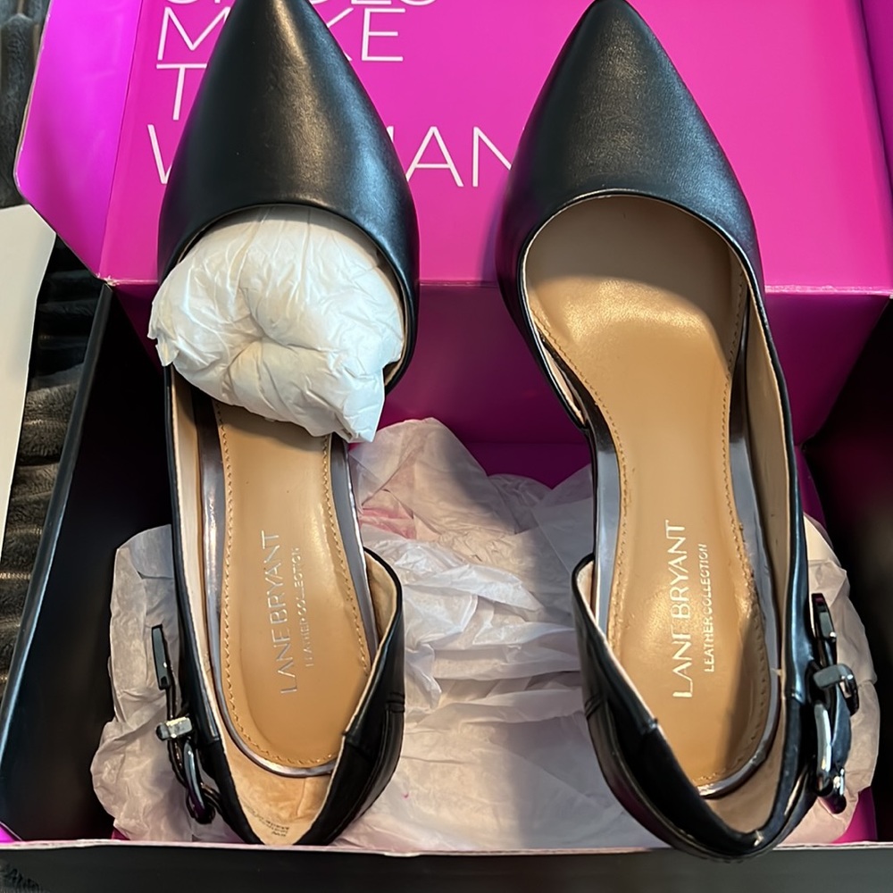 Lane Bryant - Picture 3 of 4